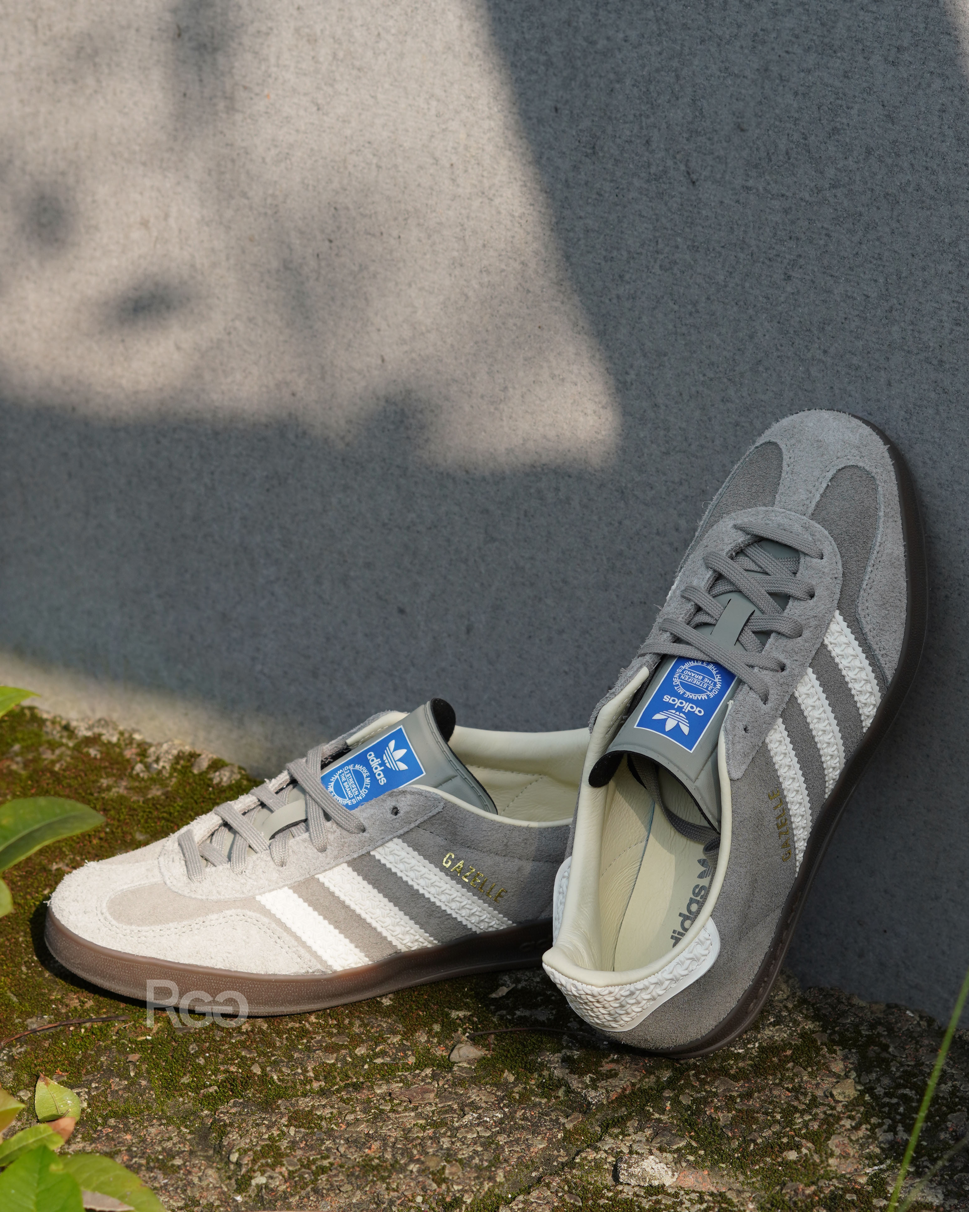 Adidas GAZELLE INDOOR 運動休閒鞋 德訓鞋 灰色 (IF1807)