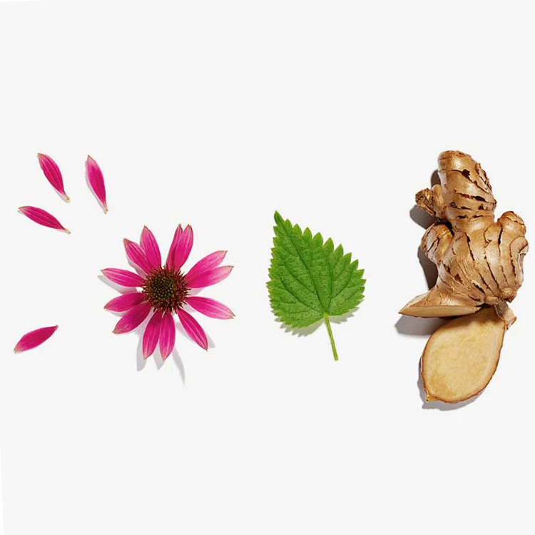 有機茶葉茶包加強免疫力配方 x 20