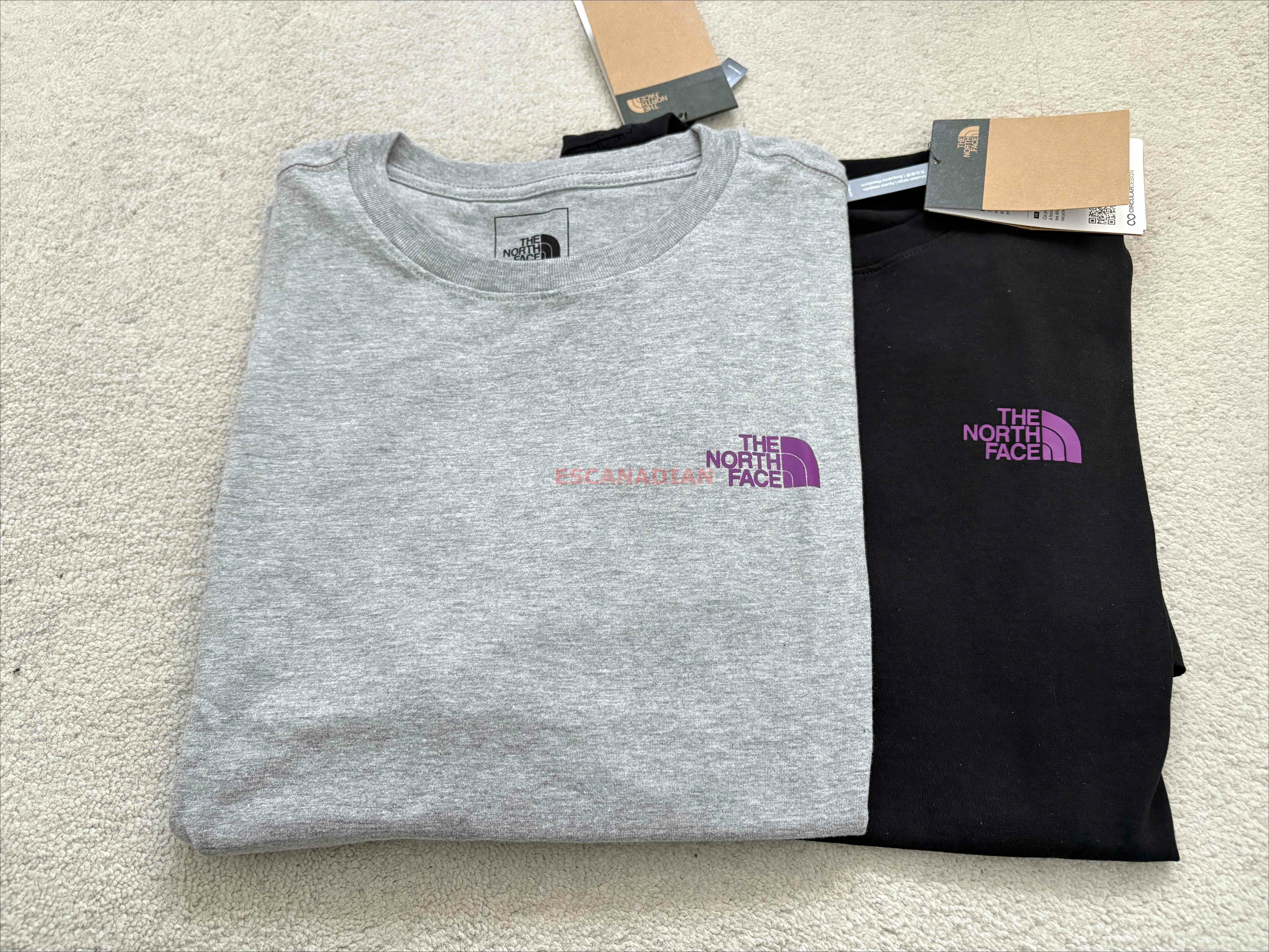 THE NORTH FACE 女大人 雪山圖案 短TEE (前LOGO後山脈) (2色)