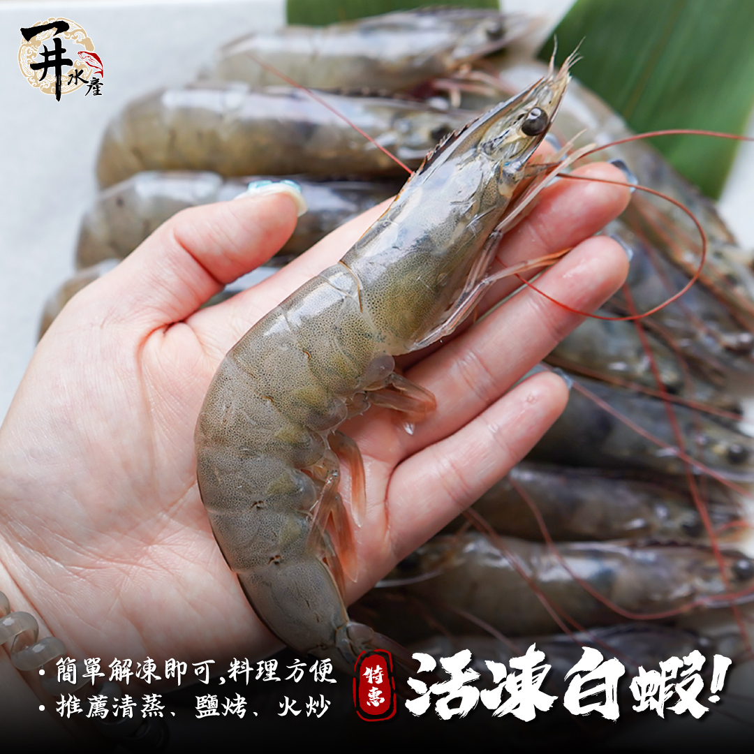 帶殼白蝦 / 蝦子｜龍王 20/30・30/40・13/15・16/20