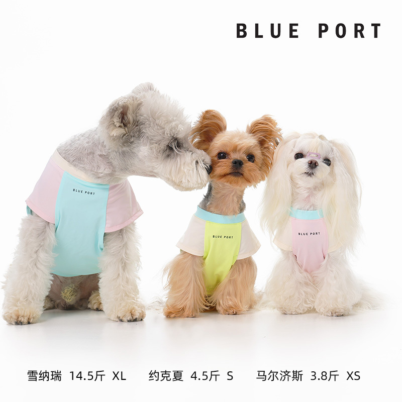 Blue Port - BP防曬涼感衣 - 粉紅/黃綠/淺藍