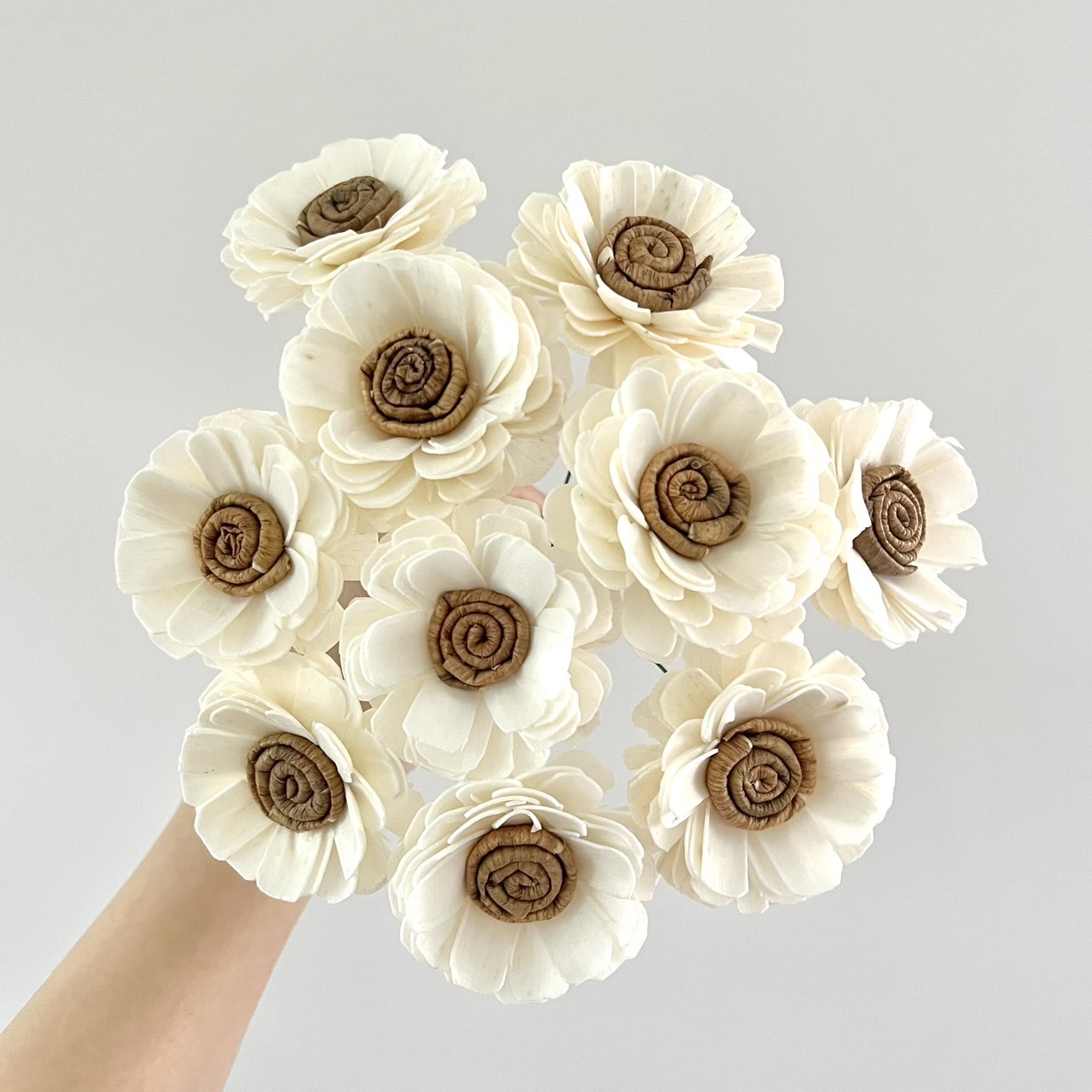 越南索拉花 陸連 6CM <十支一把>