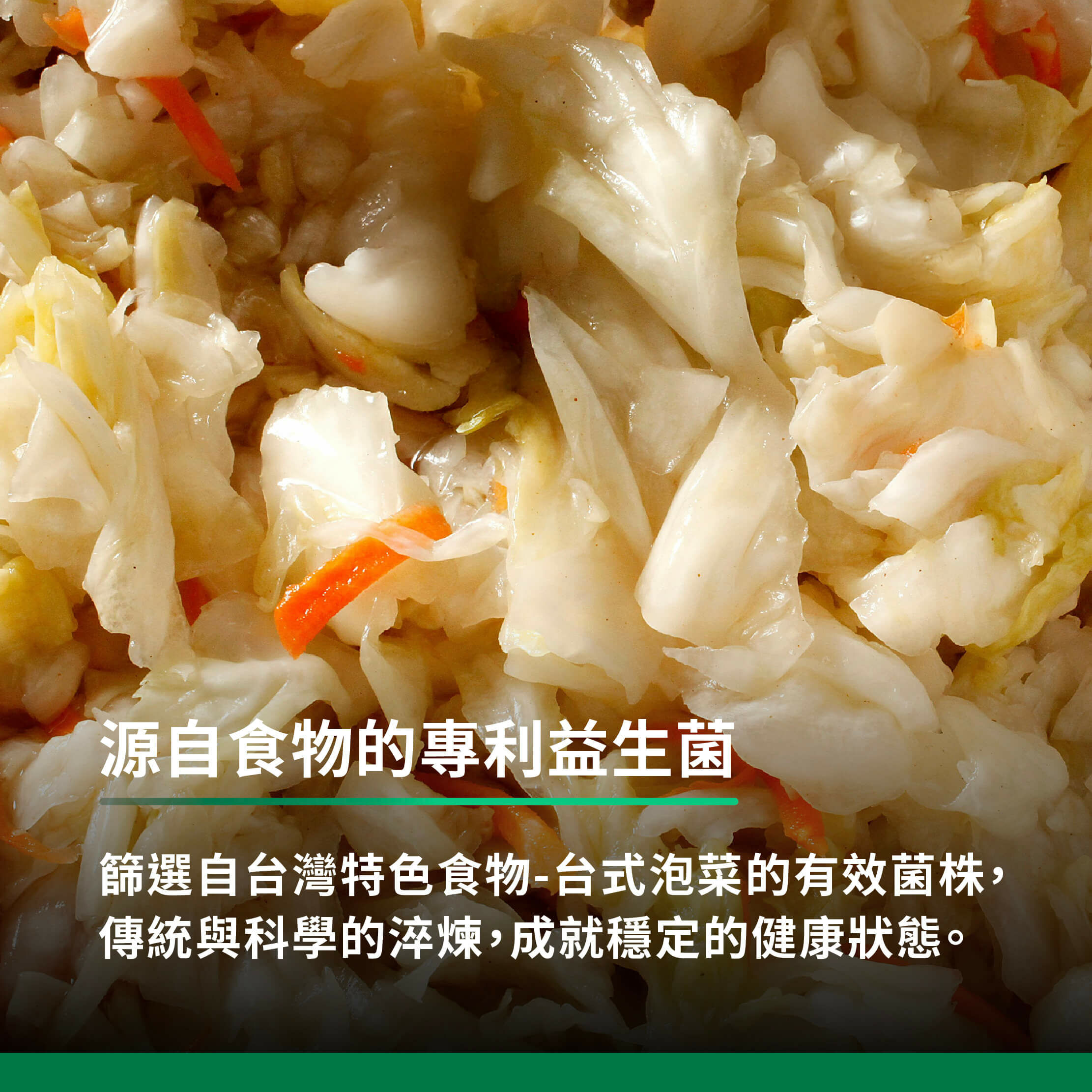 源自食物的專利益生菌