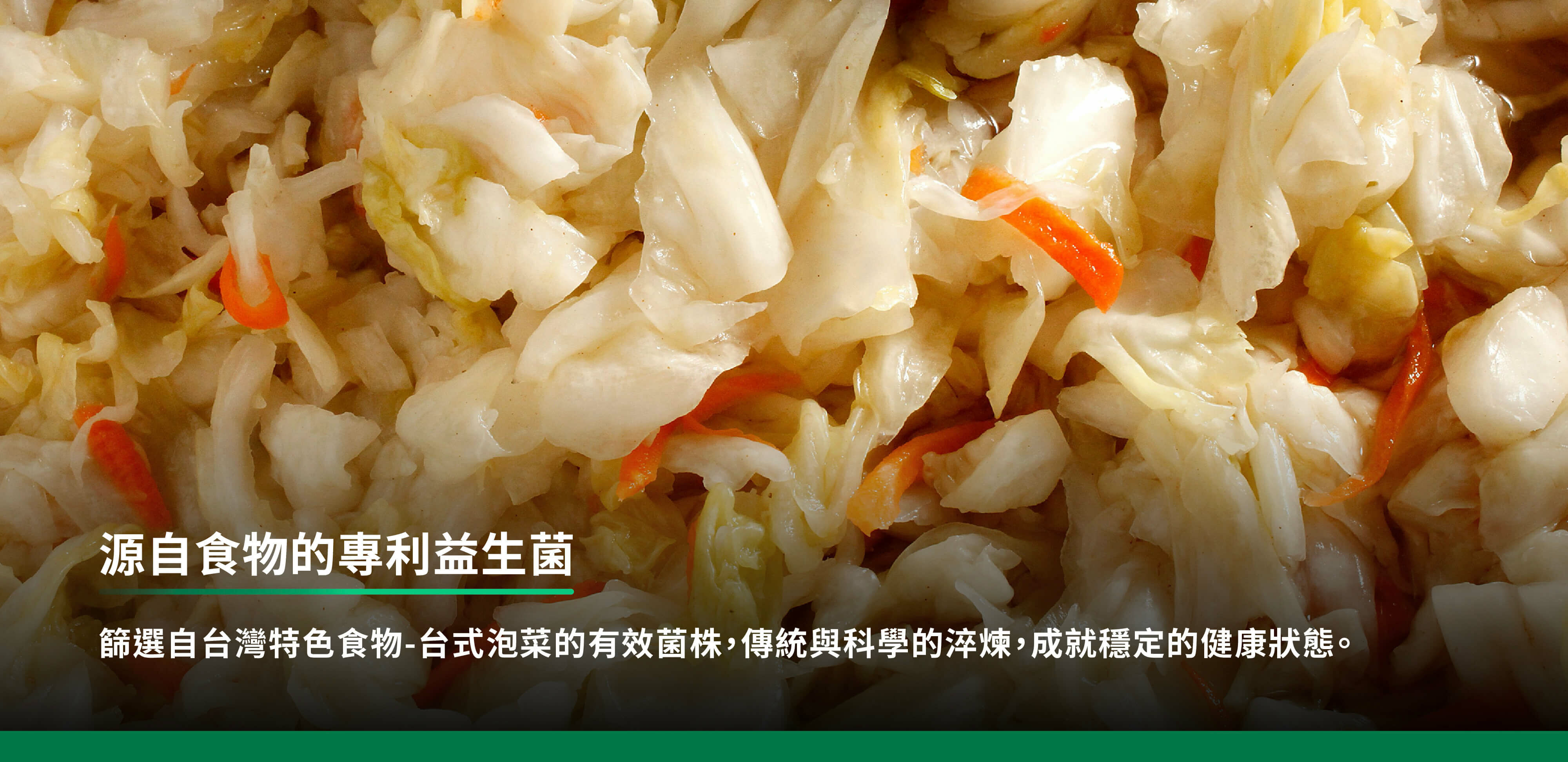 源自食物的專利益生菌