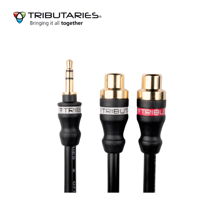 Tributaries 便攜式 Y 型接線 2YP-MMM (1條)