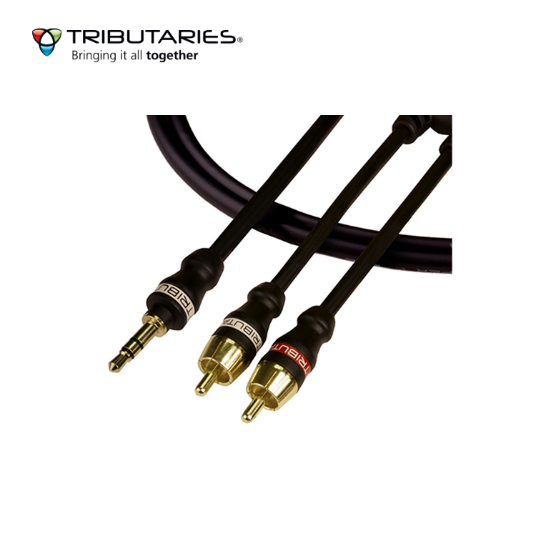 Tributaries 便攜式 Y 型接線 2YP-MMM (1條)