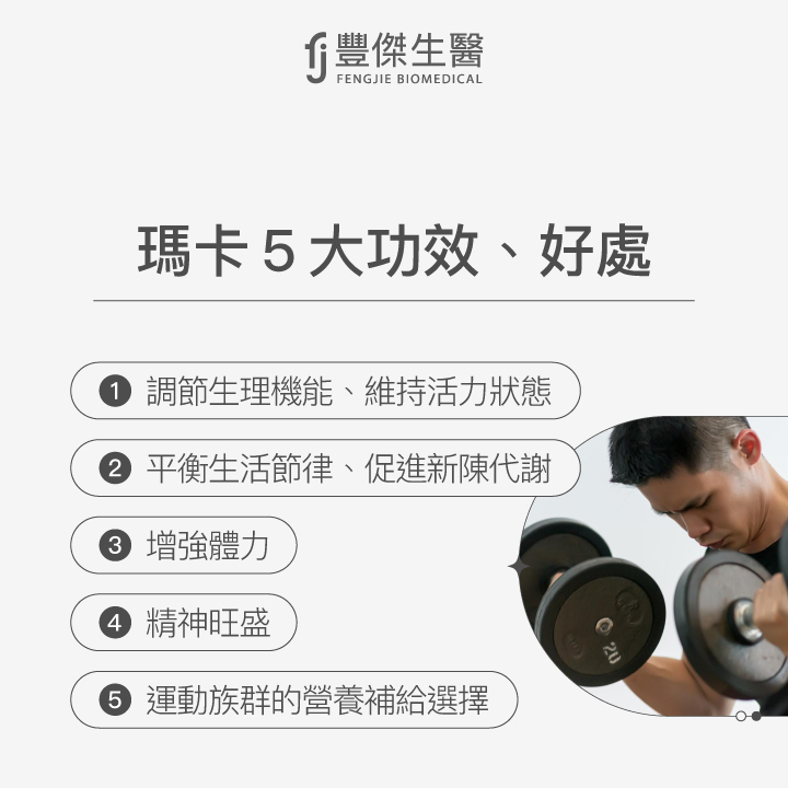 瑪卡五大功效與好處：幫助調節生理機能、促進代謝、增強體力、提升精神活力，是運動族群的營養補給首選。