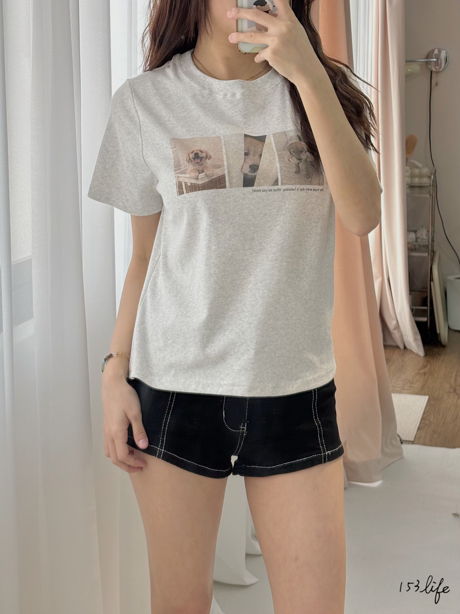 |現貨|萌寵狗狗影像寬鬆素T(3色)