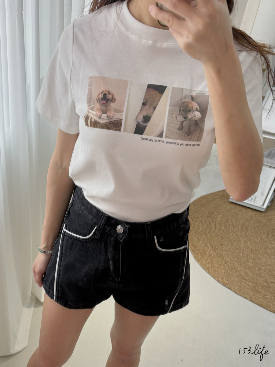 |現貨|萌寵狗狗影像寬鬆素T(3色)