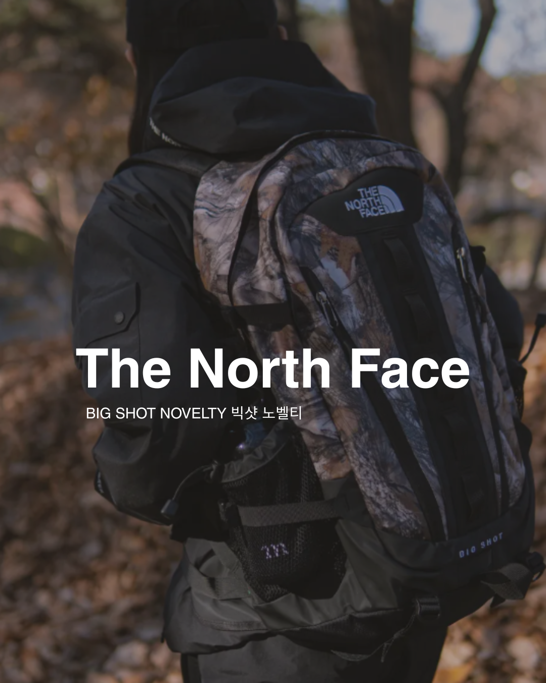 【預購】The North Face BIG SHOT NOVELTY 落葉 後背包 NM2DQ50C