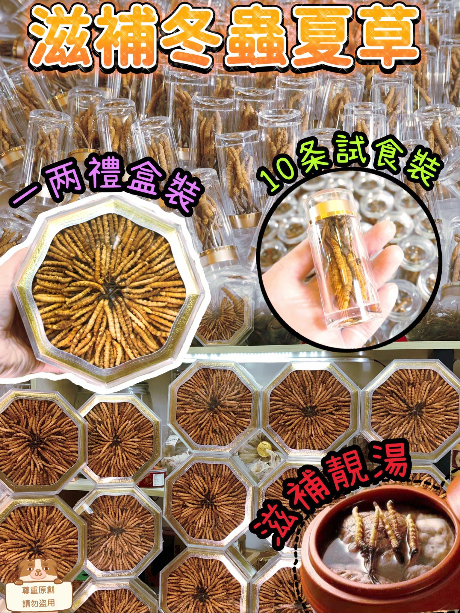 滋補凍乾冬蟲夏草