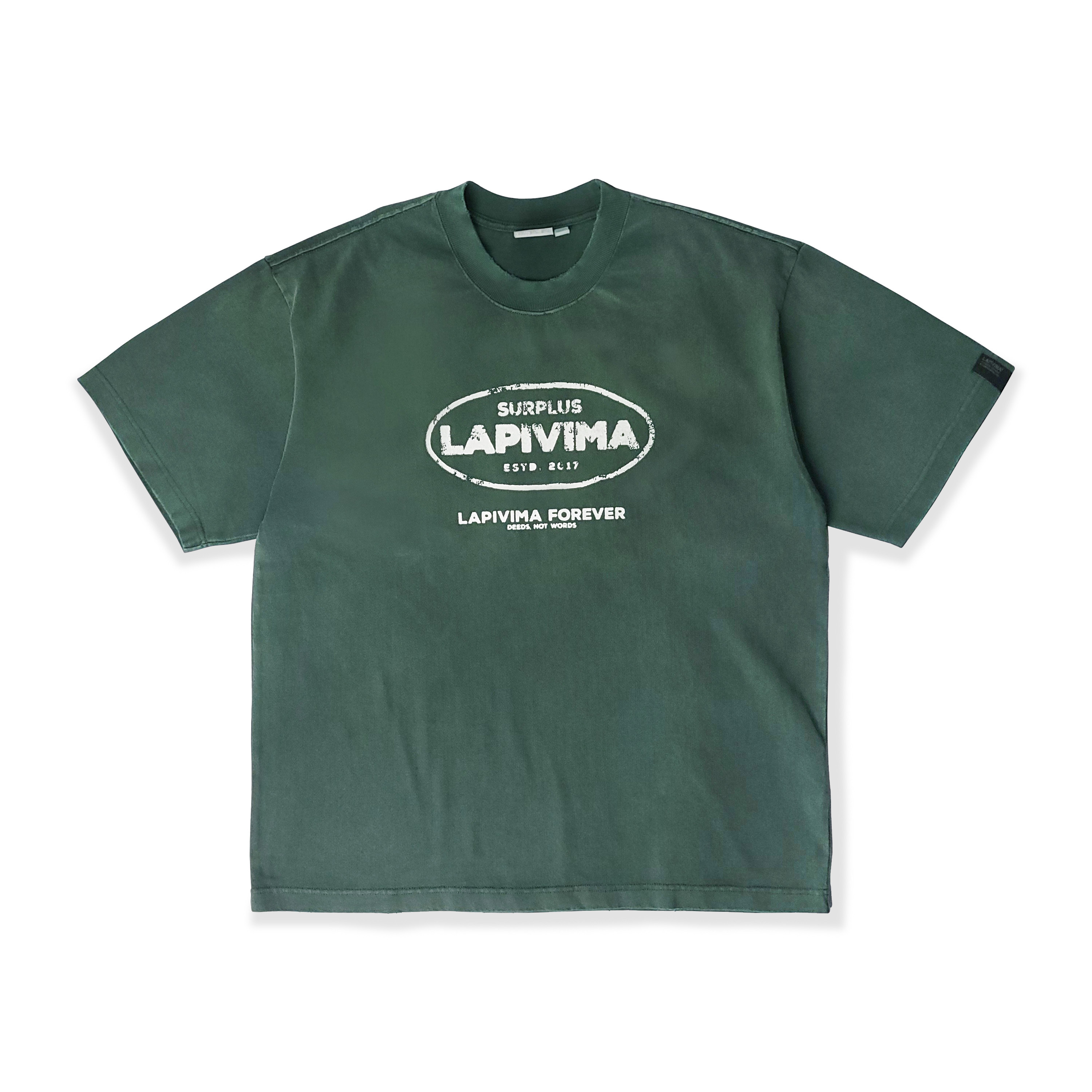 LAPIVIMA 水洗染色磨破印花短Tee TIST06