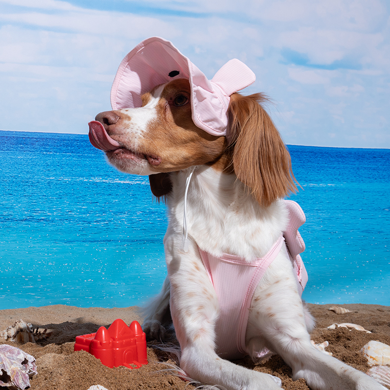 puppygallery｜貝爾熊涼感帽 淡粉