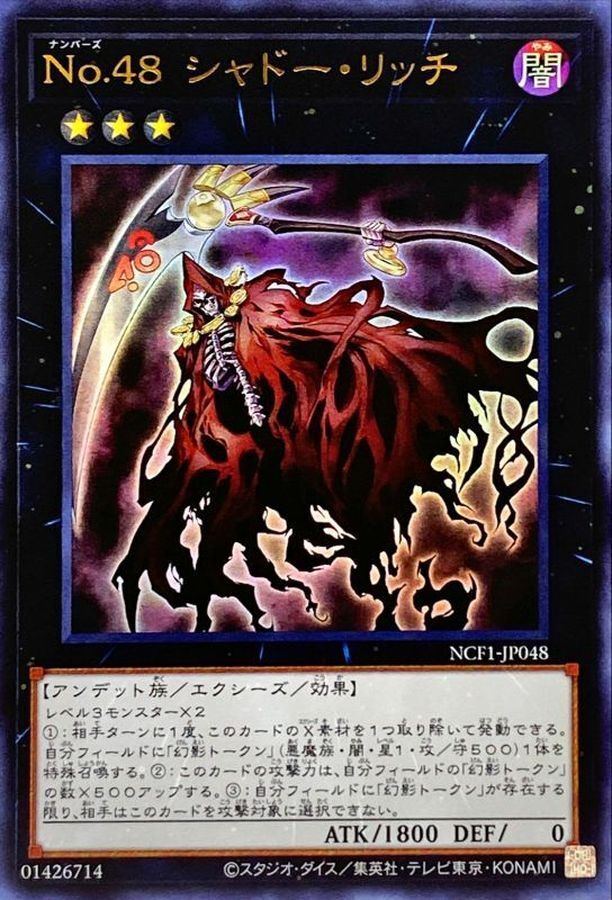 NCF1-JP048 No48シャドーリッチ