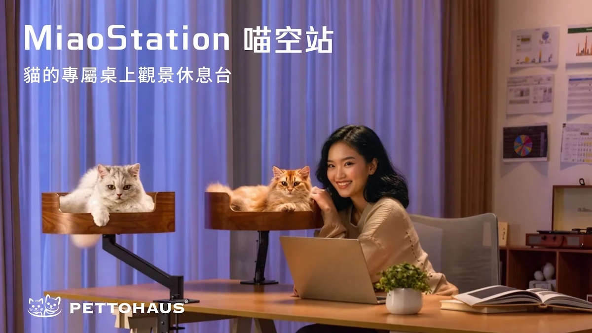 貓窩,貓爬架,桌上貓窩,貓空站,喵空站