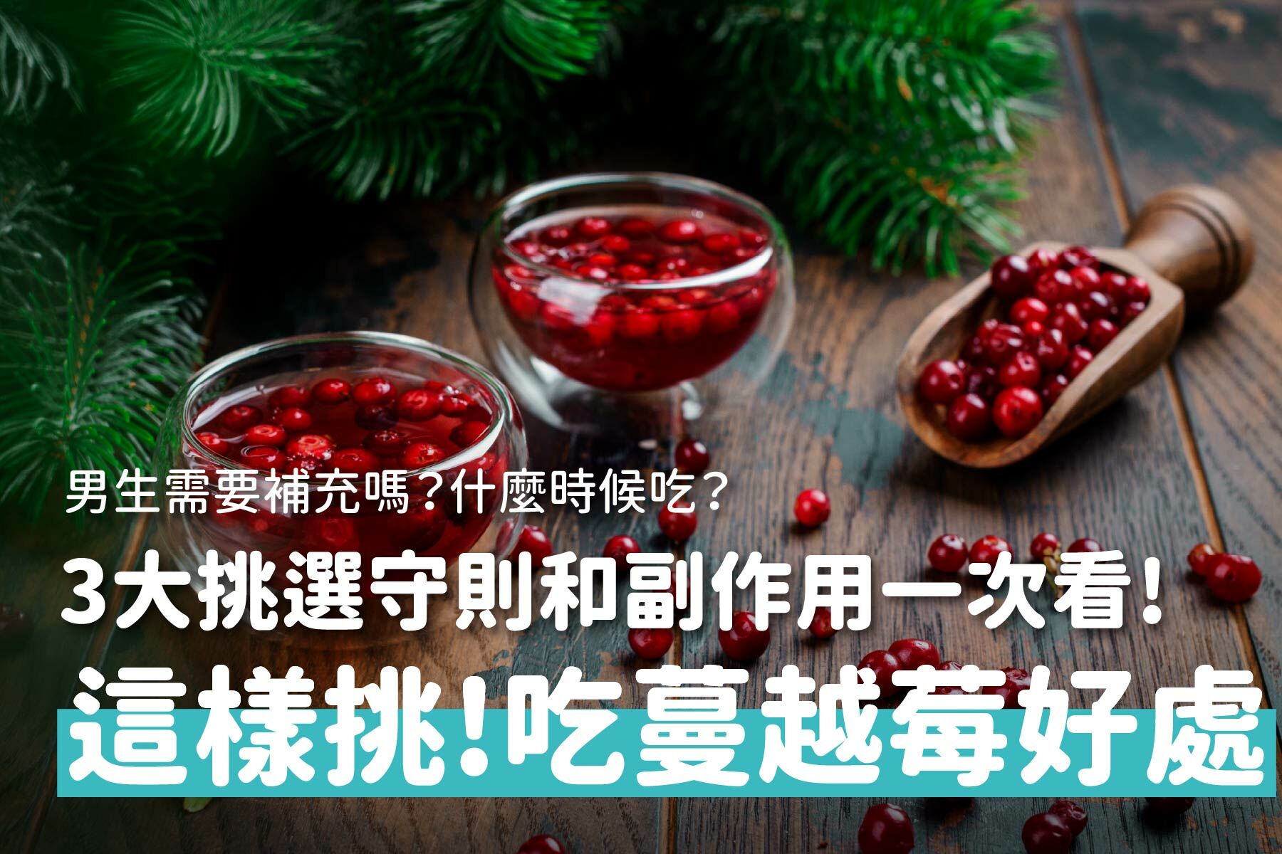 帶你了解蔓越莓功效好處、3大挑選原則和食用禁忌