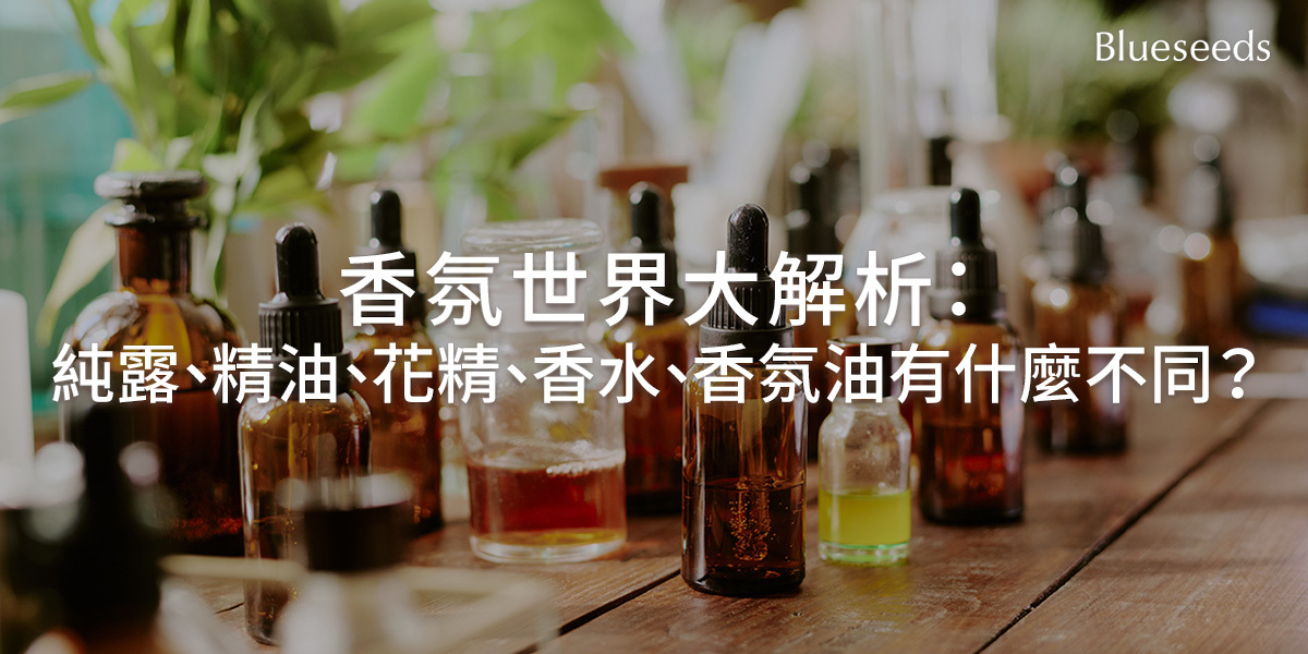 香氛世界大解析：純露、精油、花精、香水、香氛油有什麼不同？