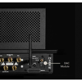 Audio Research I/50 DAC Card Module