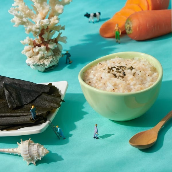 飯友生技- 昆布貝貝胚芽粥 ( 150g x 4入/盒) (10m+)