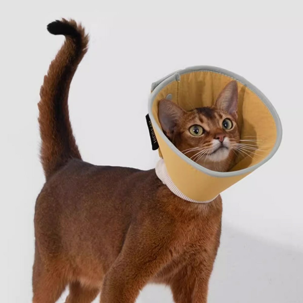 HiDREAM- 暗釦錐形伊莉莎白圈 (兩色)