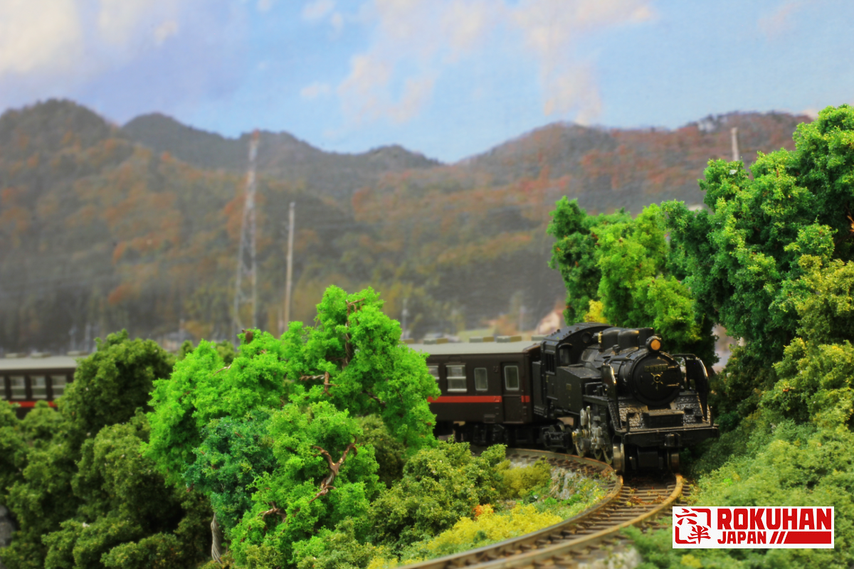 Rokuhan T019-3 Z規 C11 325號 真岡鐵道型 蒸汽車