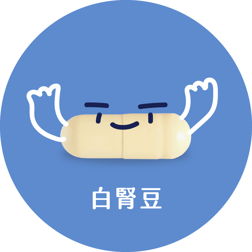 白腎豆