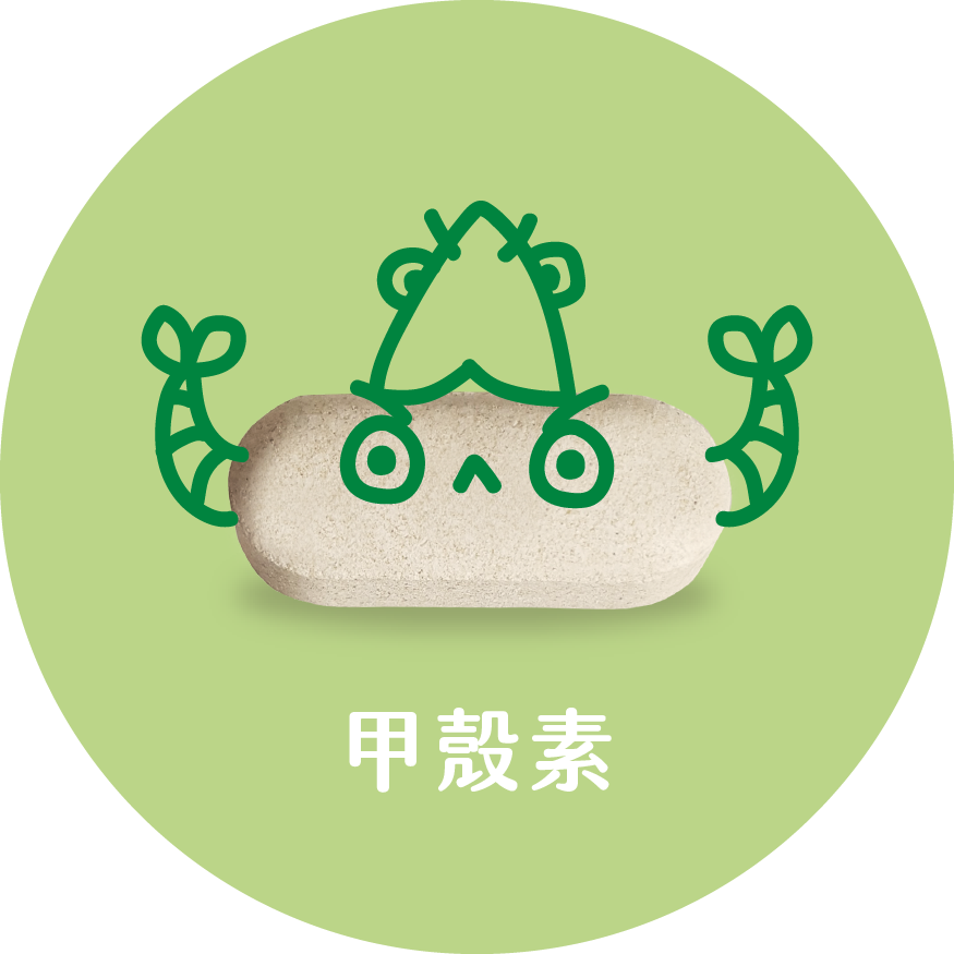 甲殼素