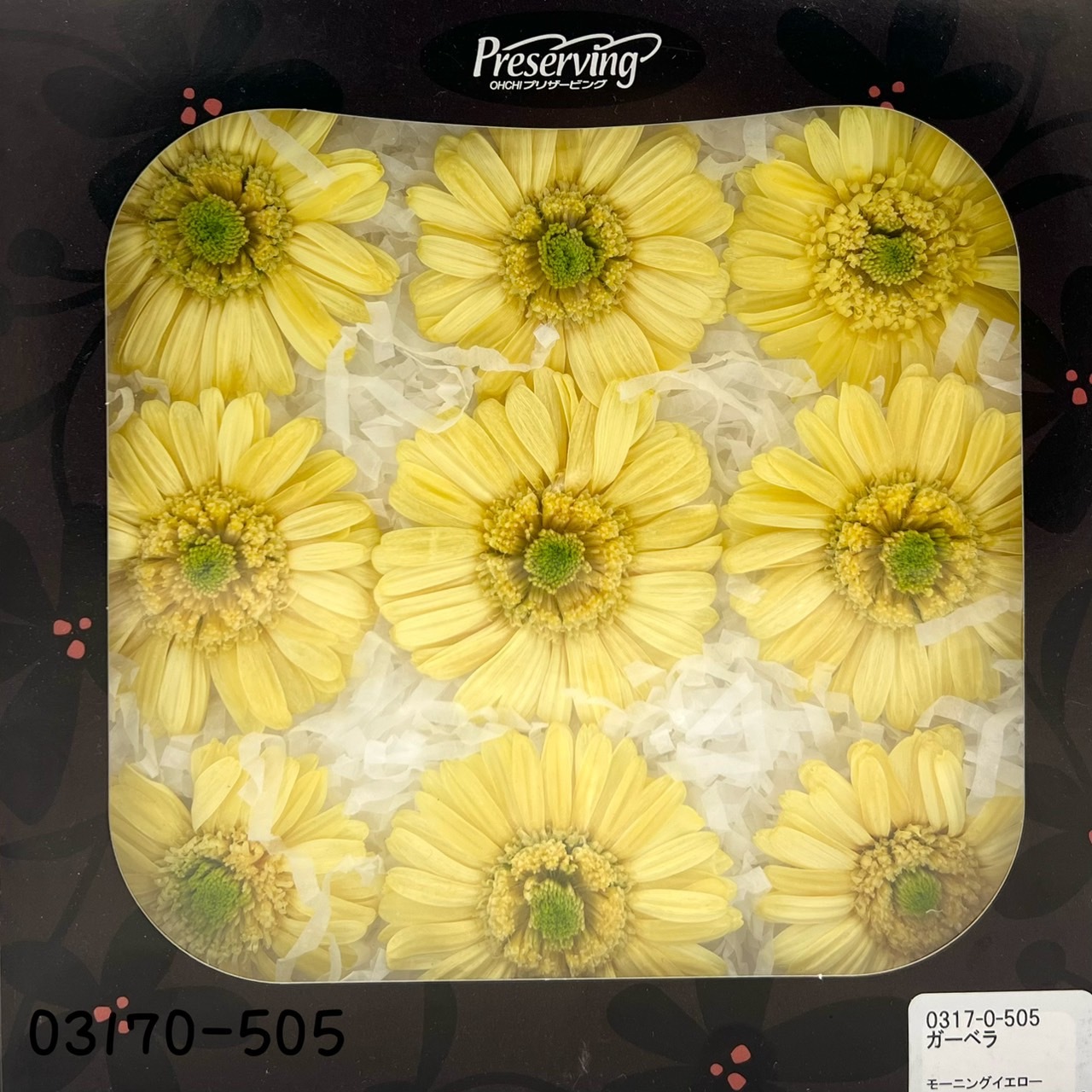 日本不凋非洲菊(9朵) 03170-505