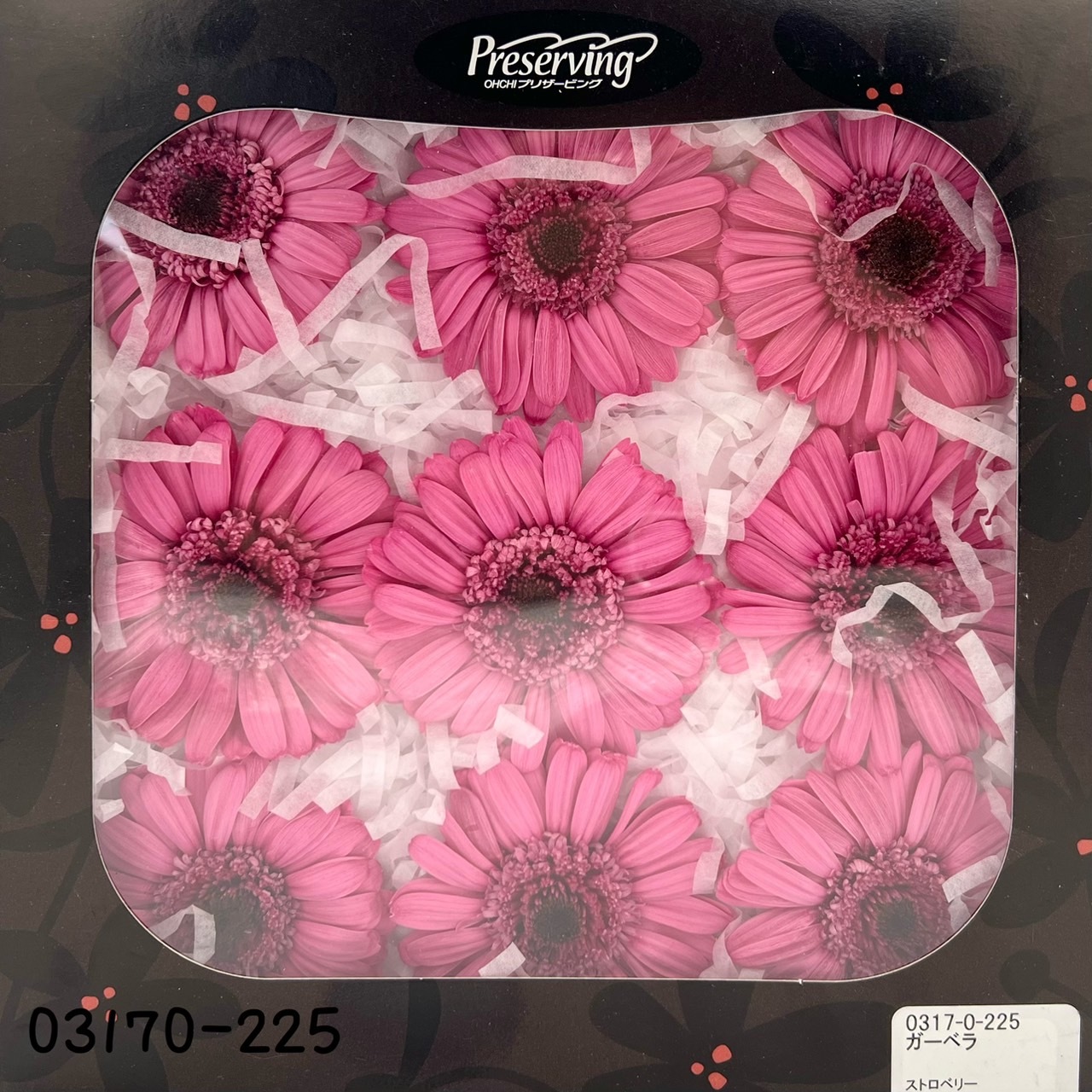 日本不凋非洲菊(9朵) 03170-225