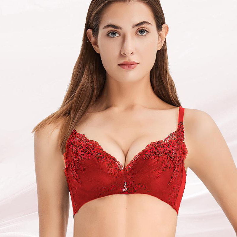 羽翼內衣-天鵝夢系列6002