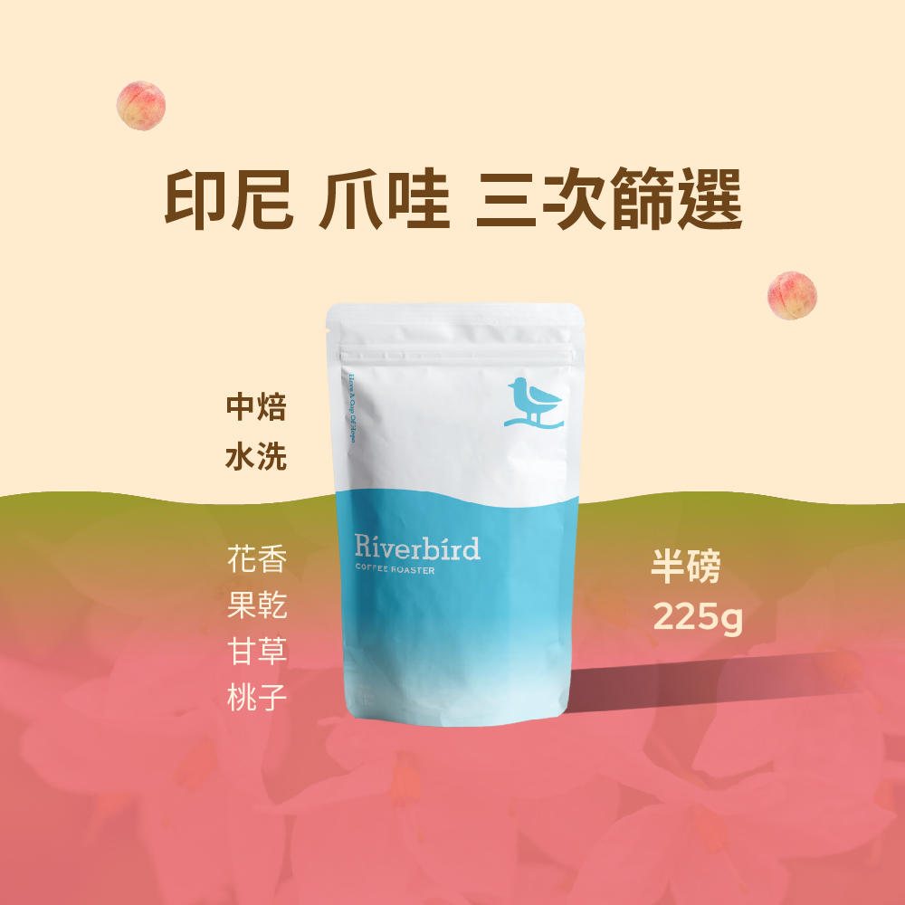 【Riverbird】《225g》印尼 爪哇 三次篩選 中焙