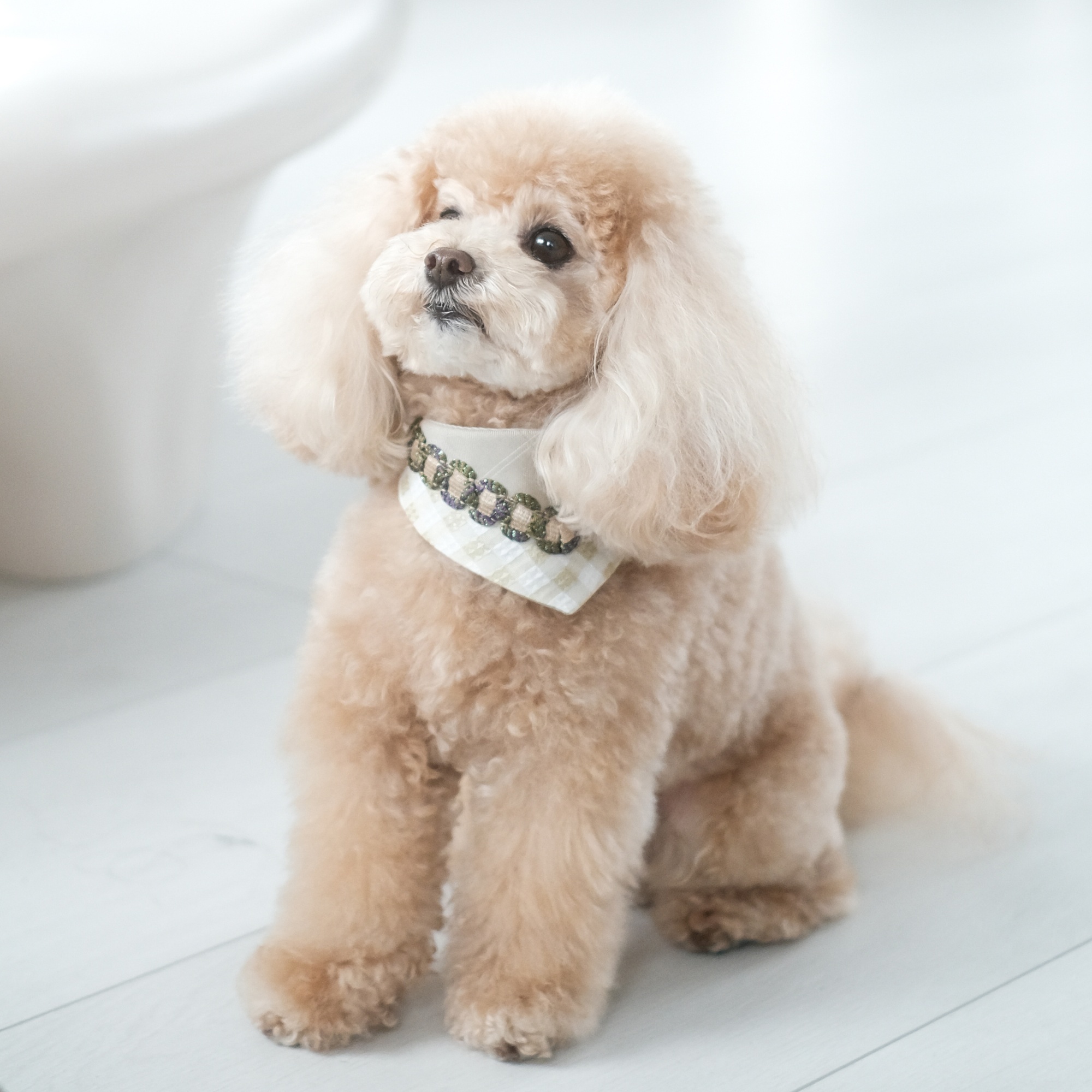 PuriPuri® 寵物領巾 - 京都抹茶糰子