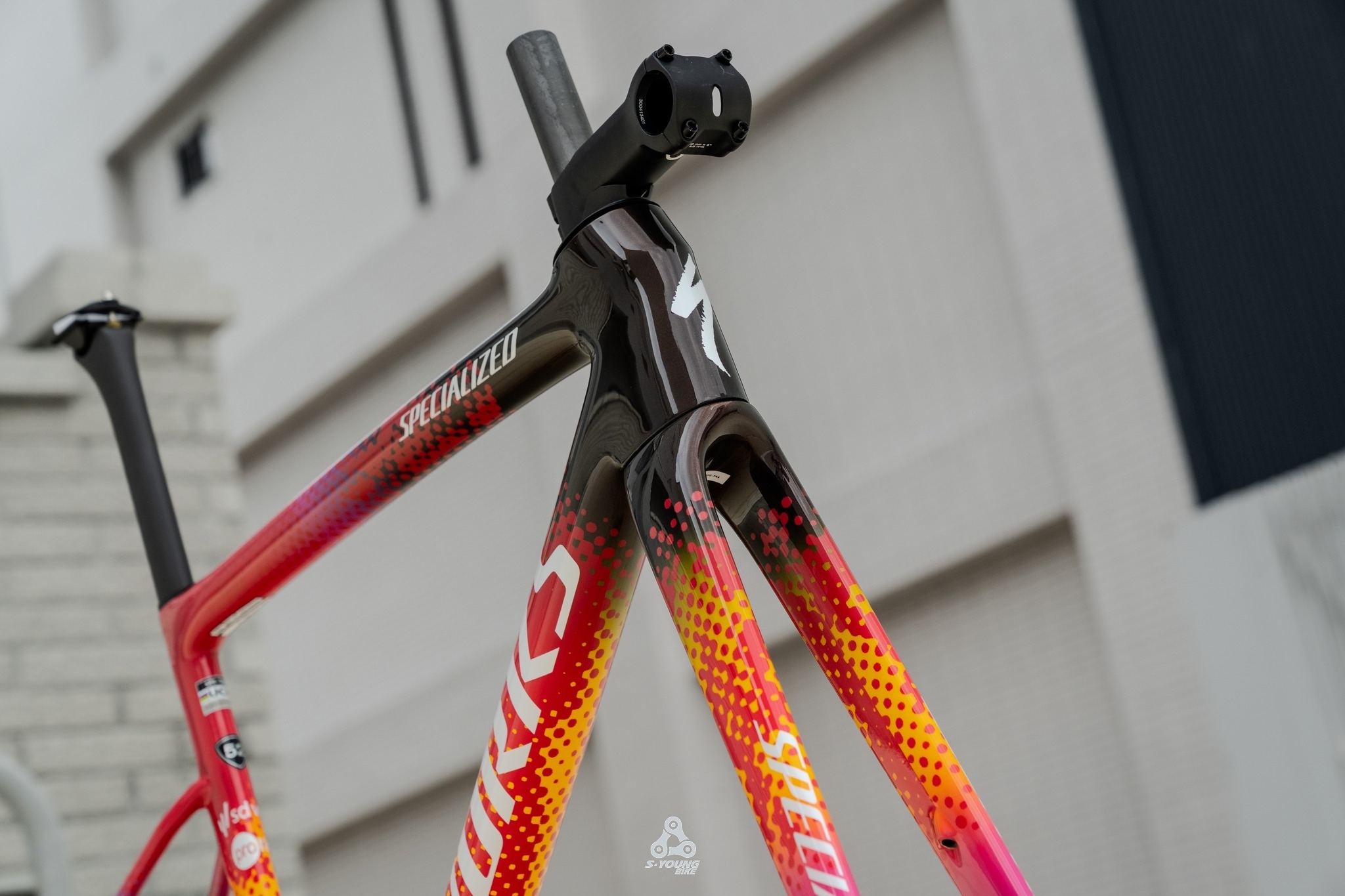 巡揚單車 TARMAC SL8 SD Worx 限量車隊版塗裝