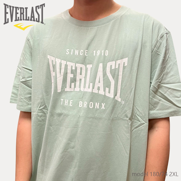 EVERLAST 短T 綠色 大LOGO 基本款 休閒 短袖 男 4221100171