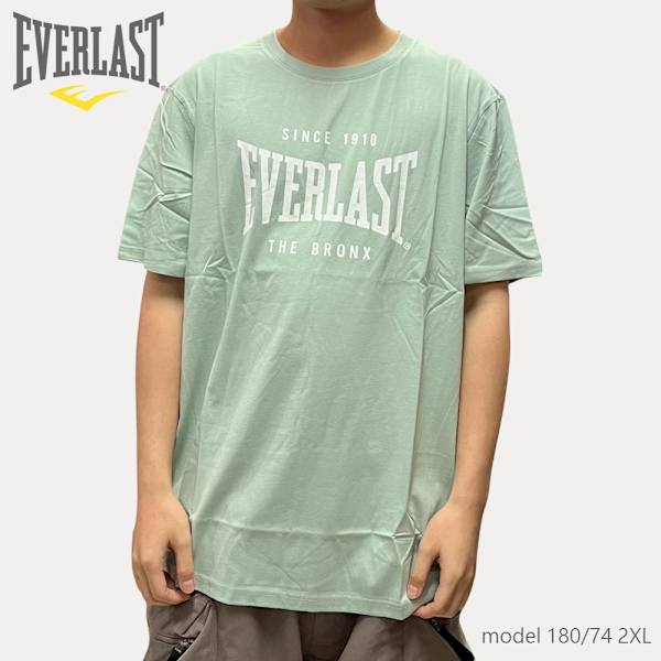 EVERLAST 短T 綠色 大LOGO 基本款 休閒 短袖 男 4221100171