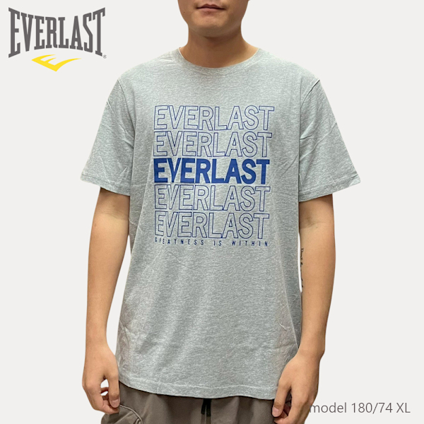 EVERLAST 短T 灰色 LOGO 基本款 休閒 短袖 男 4221100412