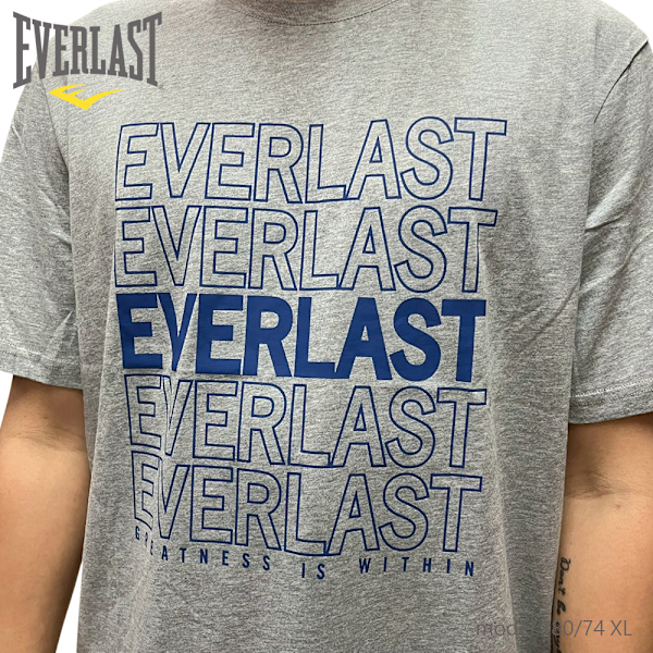 EVERLAST 短T 灰色 LOGO 基本款 休閒 短袖 男 4221100412