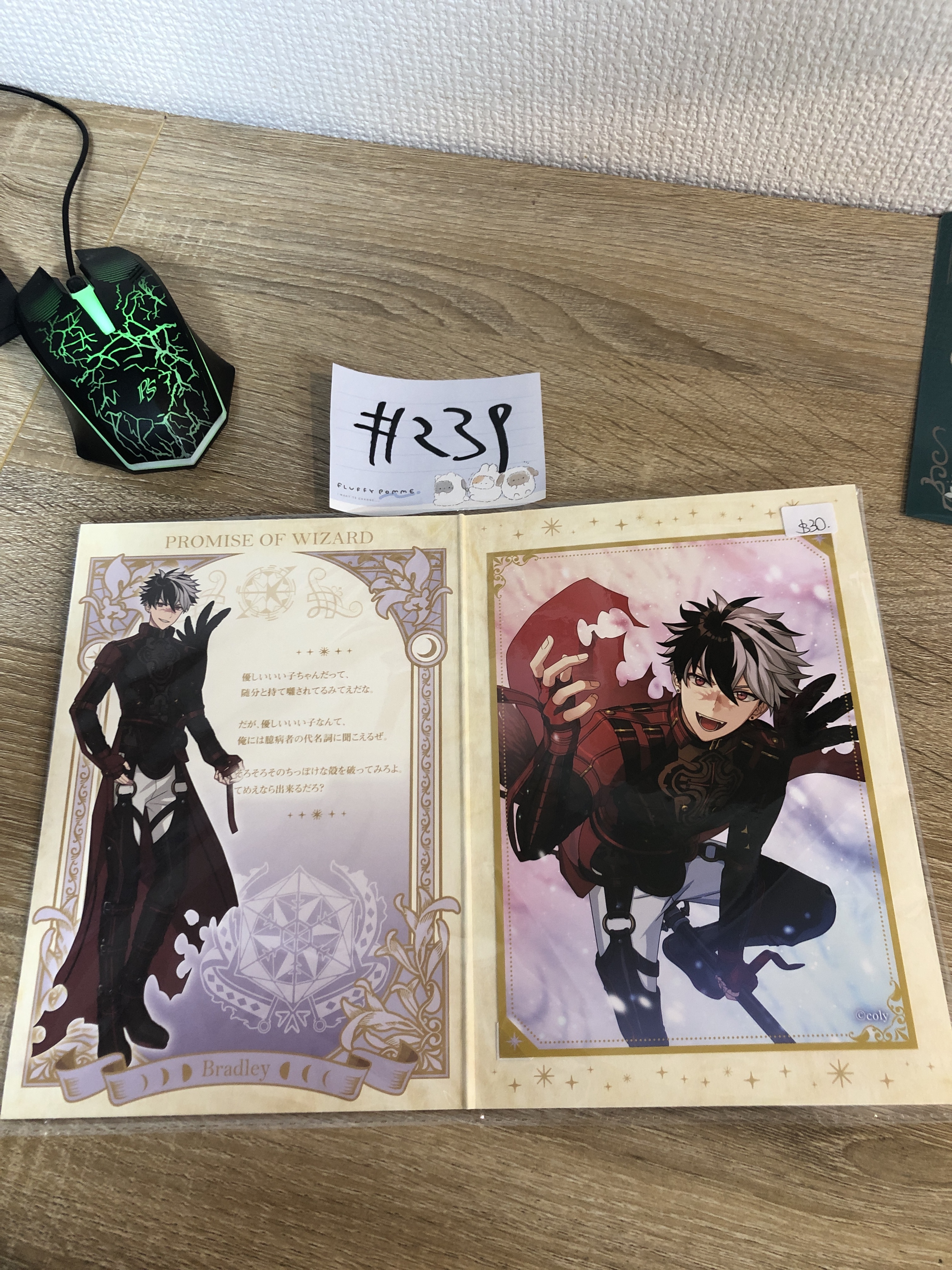 魔法使的約定 bradley 紙品#239