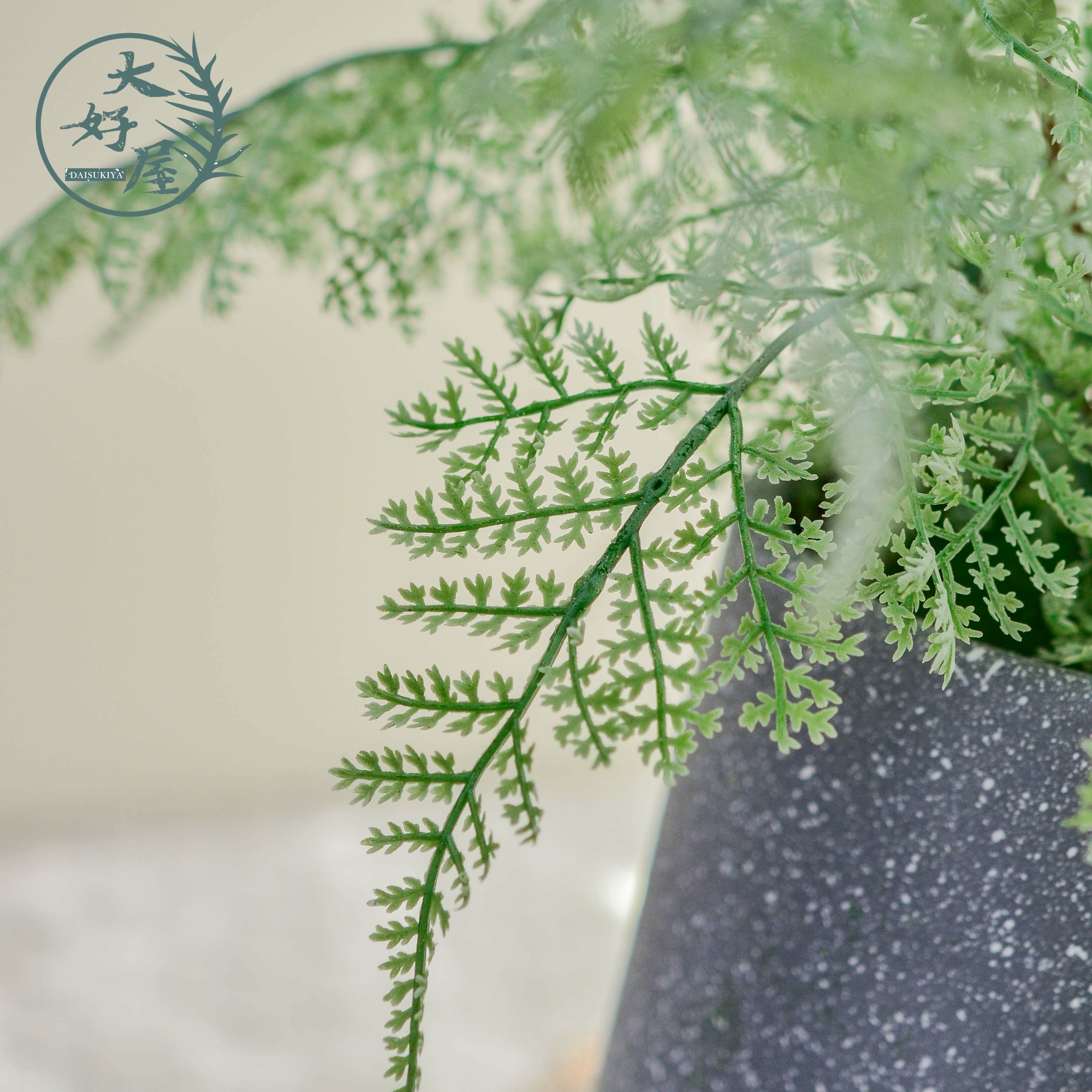 仿真兔腳蕨【多叉】