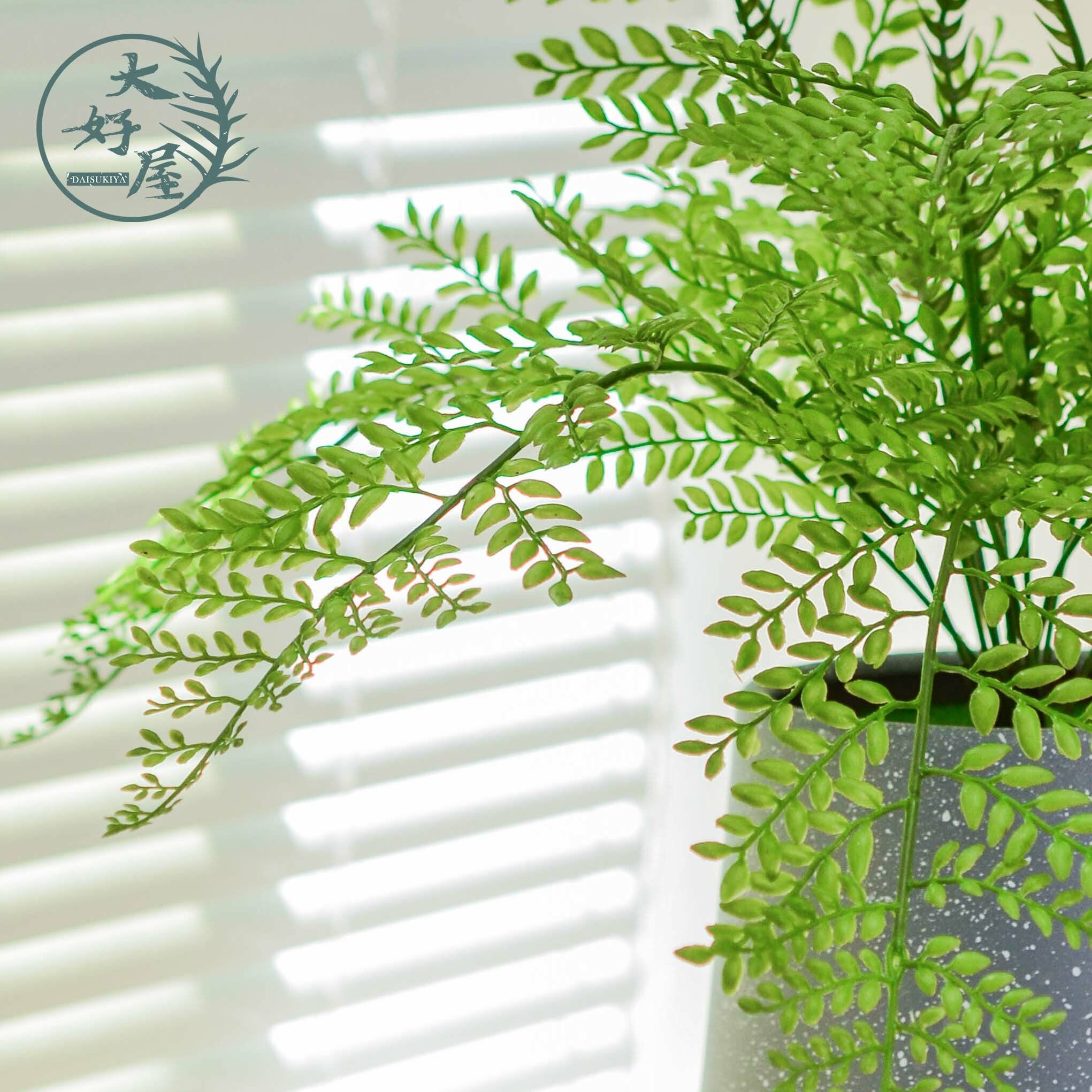 仿真銀葉蕨【多叉】