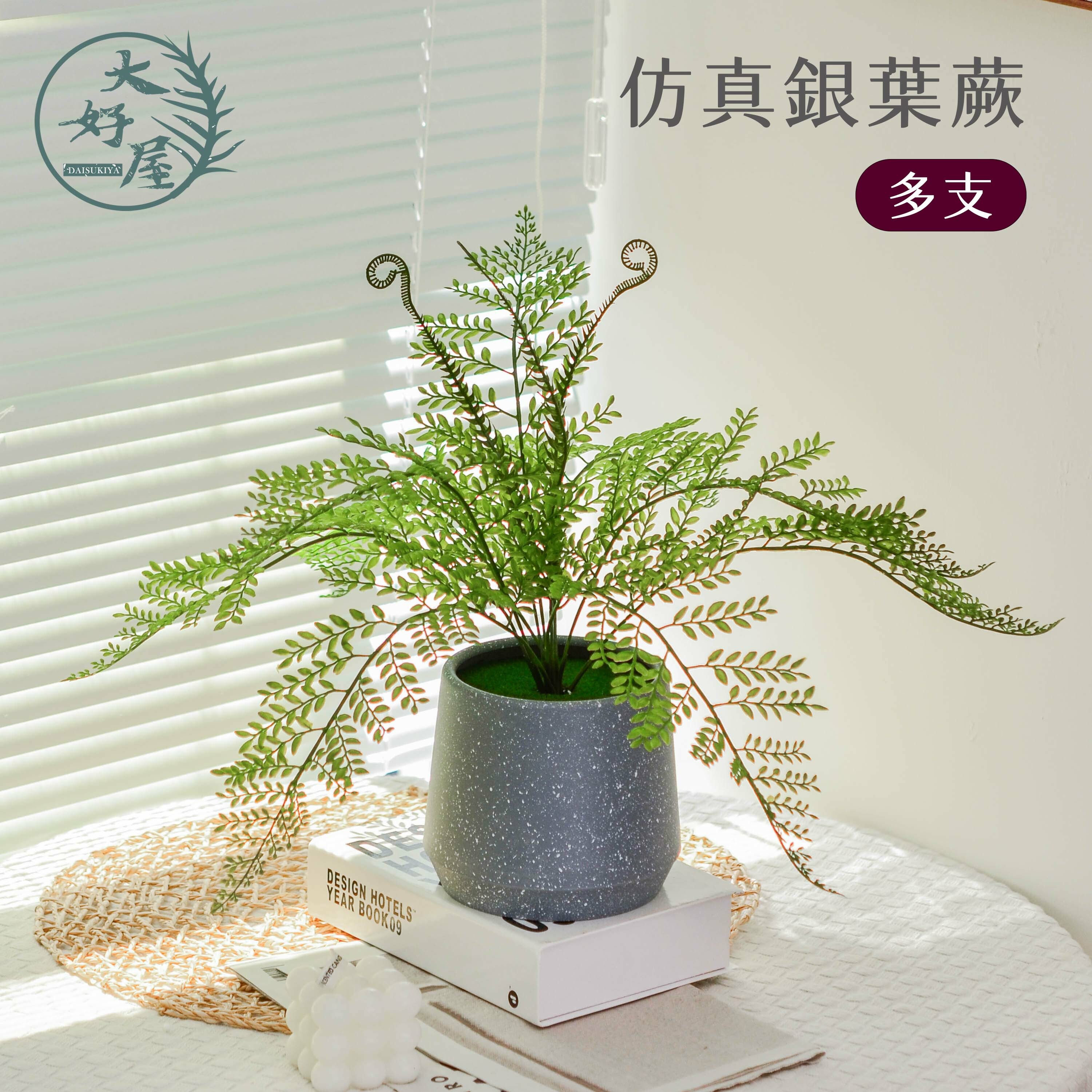 仿真銀葉蕨【多叉】