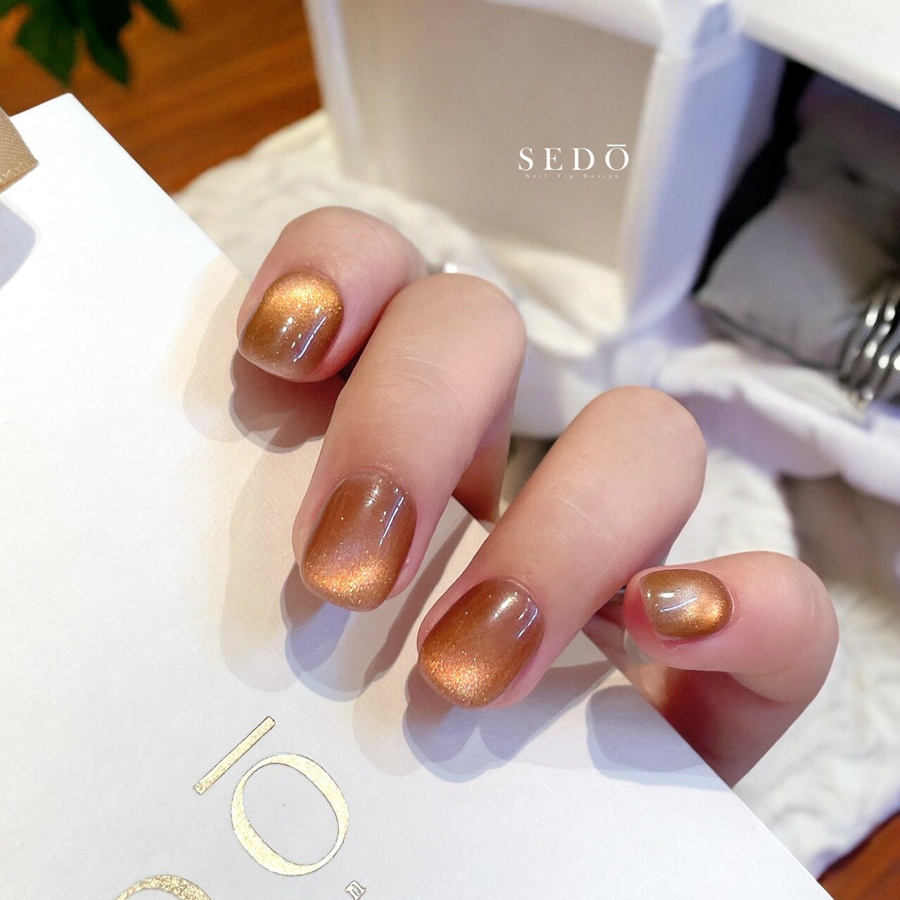 星座系列-處女座