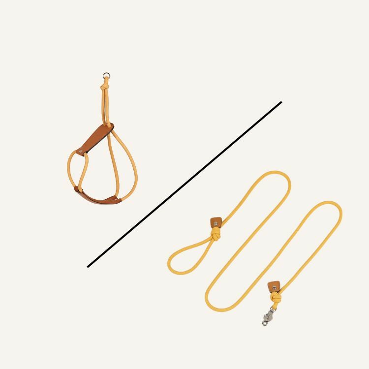 Essential Harness Set 簡約時尚版A | Essential手持寵物牽繩＋Essential Harness寵物背帶
