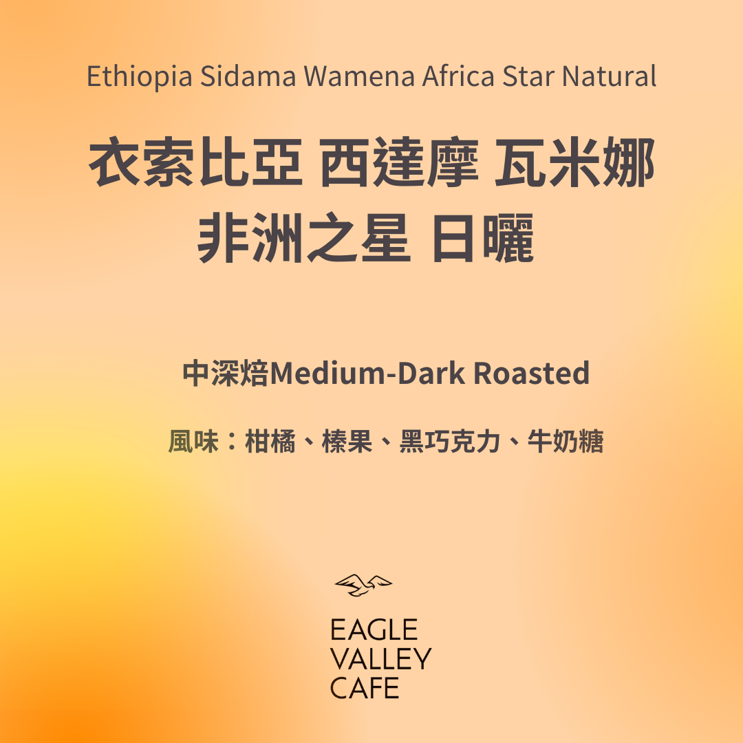 衣索比亞 西達摩 瓦米娜 非洲之星 日曬 中深焙 2025新產季