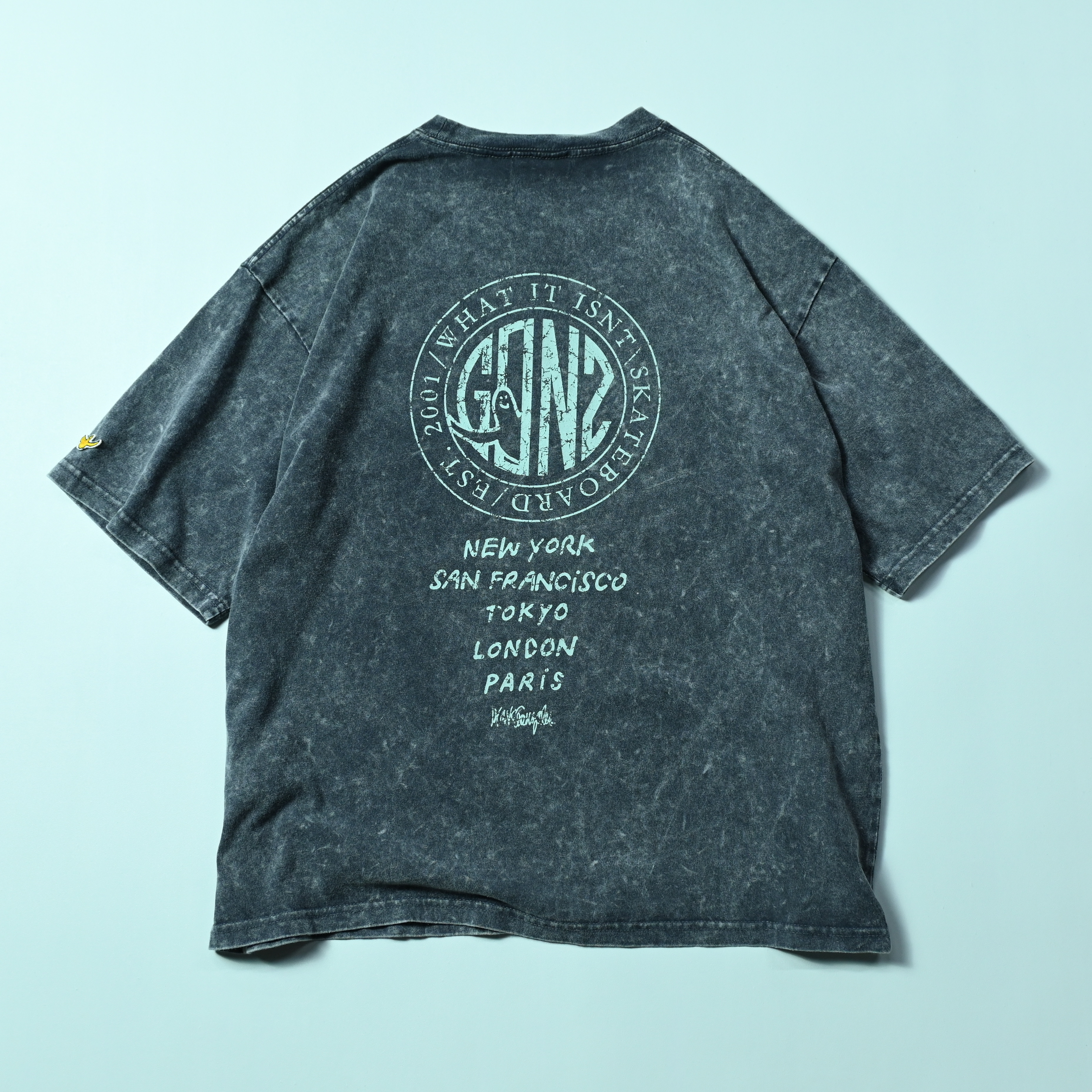 (What it isNt) ART BY MARK GONZALES Washed World Tour Tee