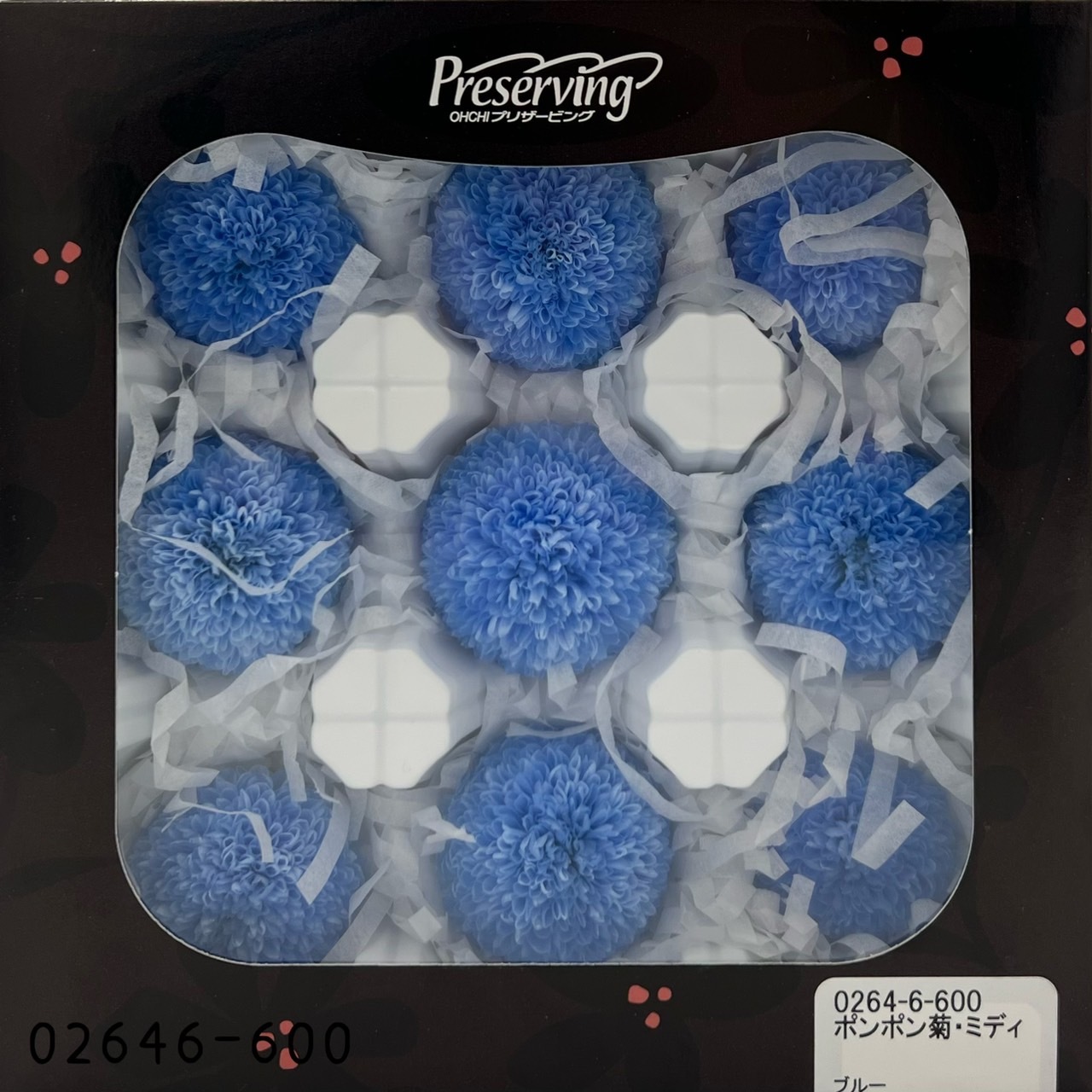 日本不凋乒乓菊(9朵) 02646-600