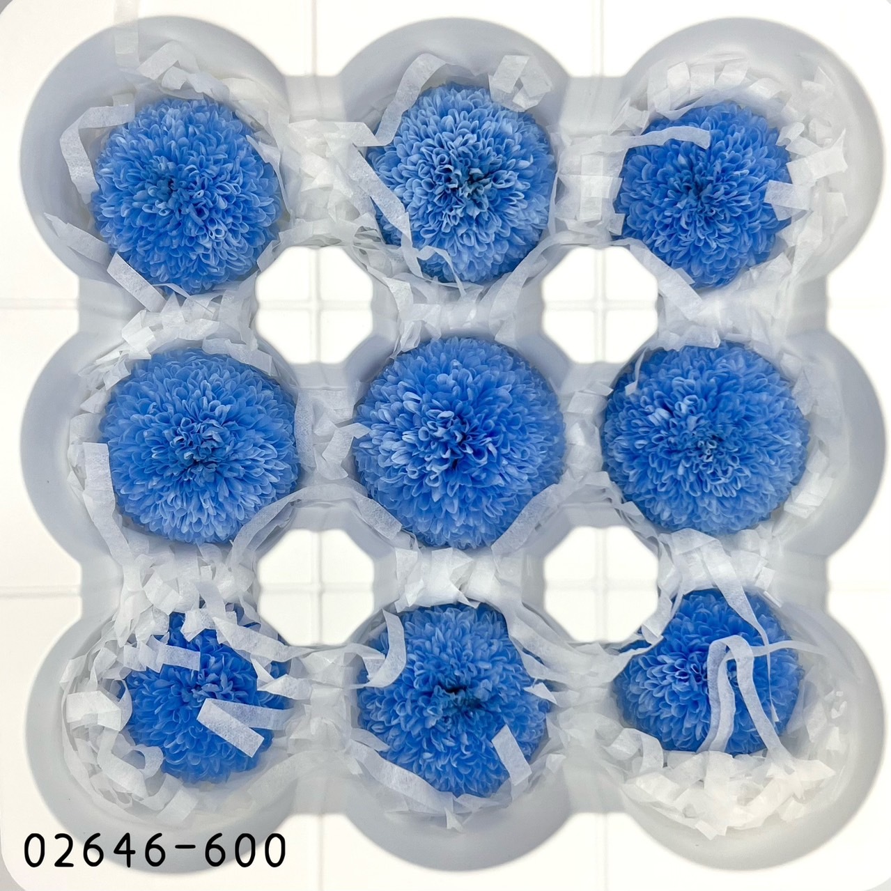 日本不凋乒乓菊(9朵) 02646-600