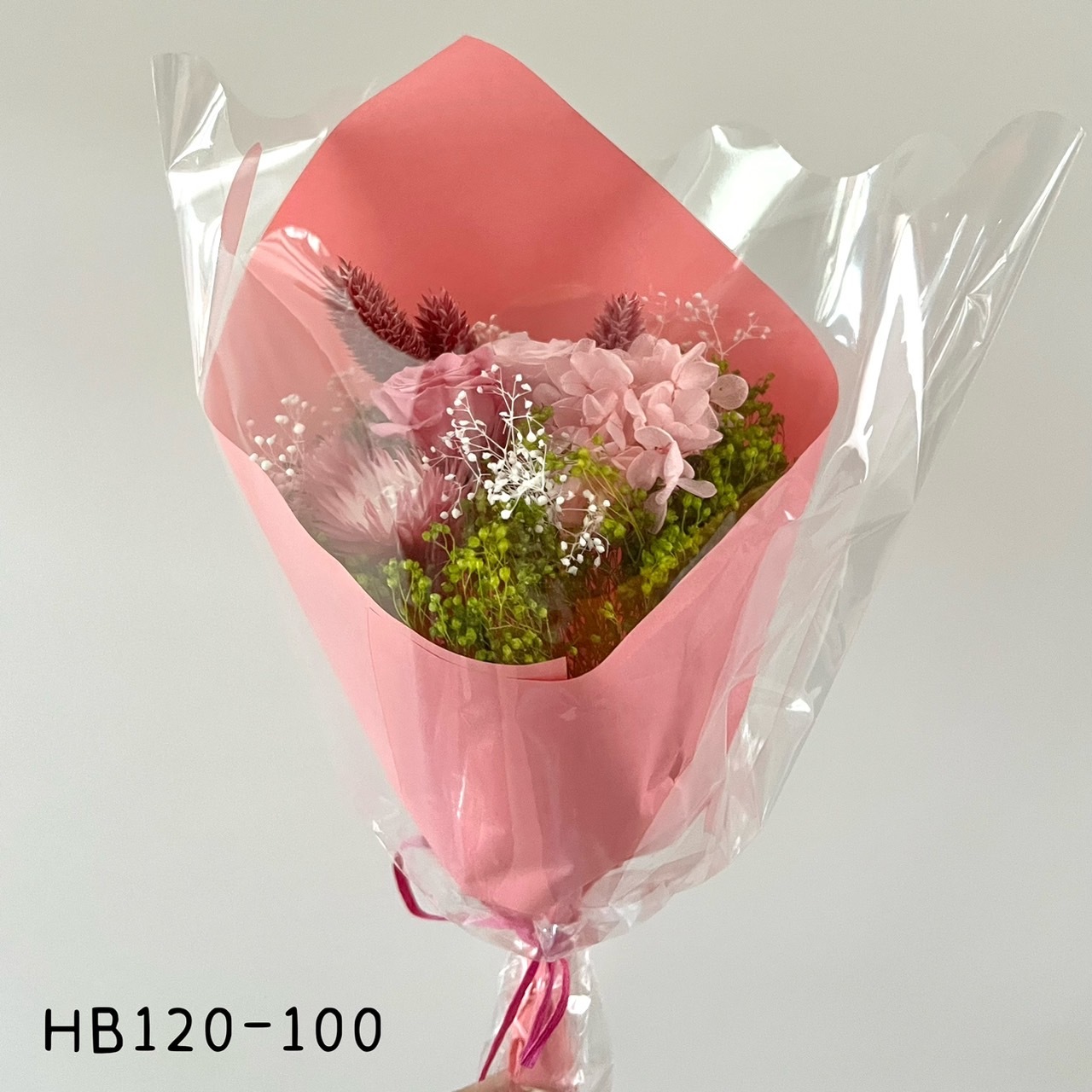 HB120-100