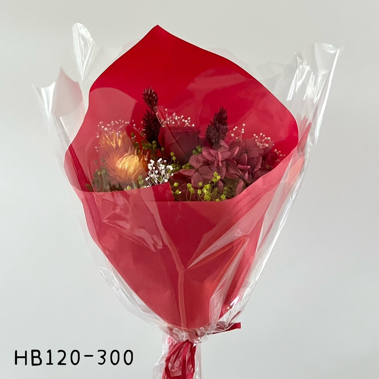 HB120-300