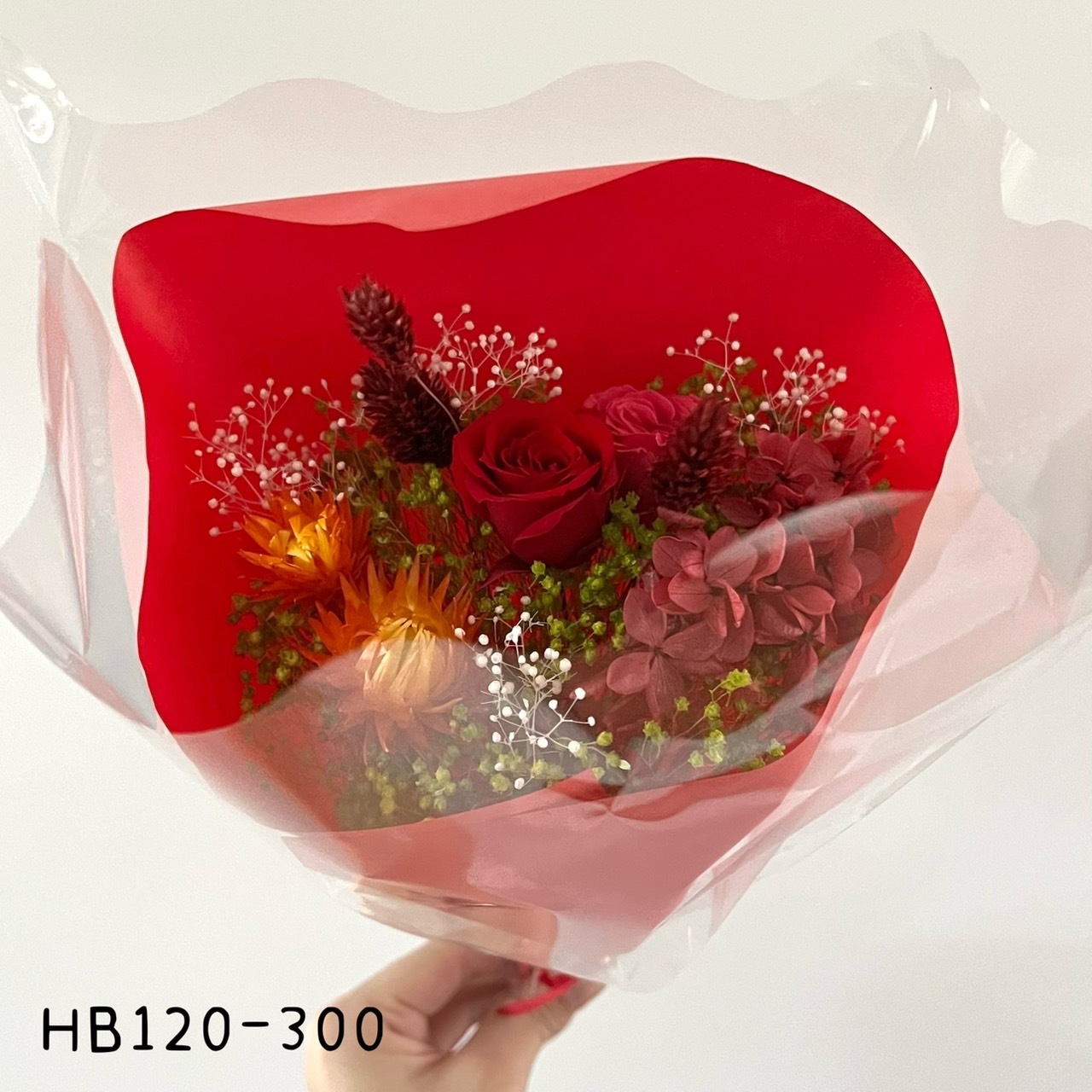 HB120-300